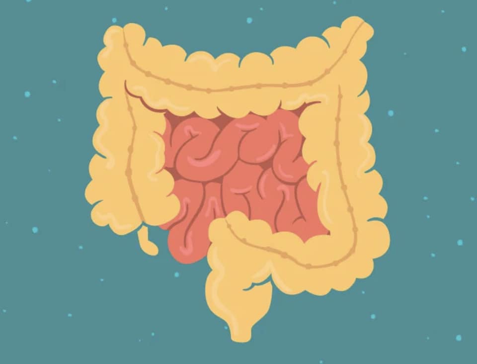ROLE OF VITAMIN B IN ACID REFLUX