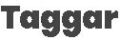 Taggar Associates health Couch and motivational speaker